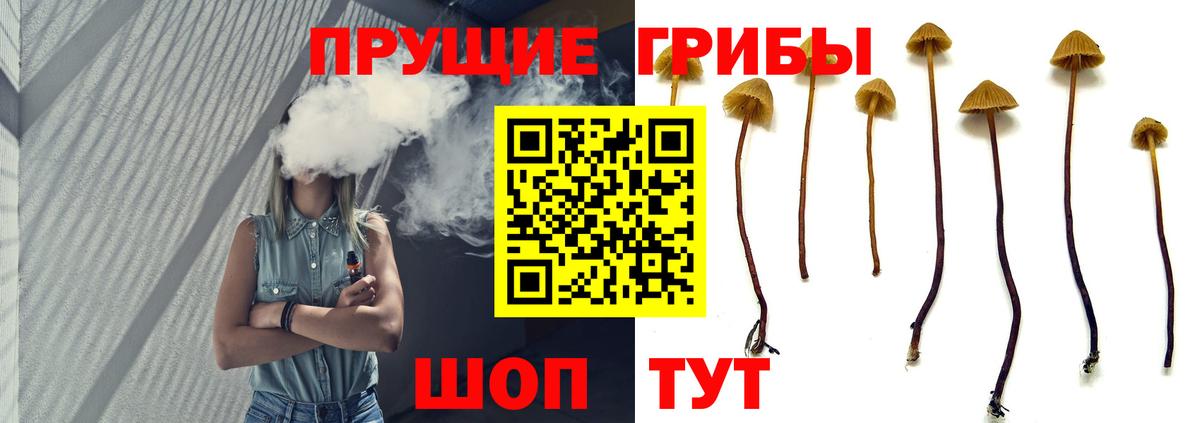 Галлюциногенные грибы ЛСД Великие Луки