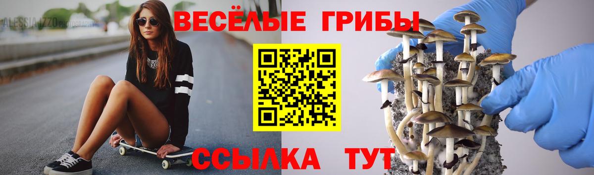 Псилоцибиновые грибы GOLDEN TEACHER  Вход с VPN  Великие Луки 